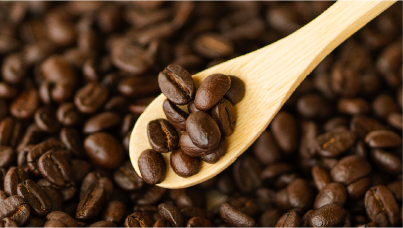 自家焙煎コーヒー定期便