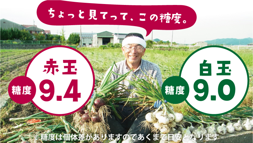 てっちゃんの赤たまねぎ