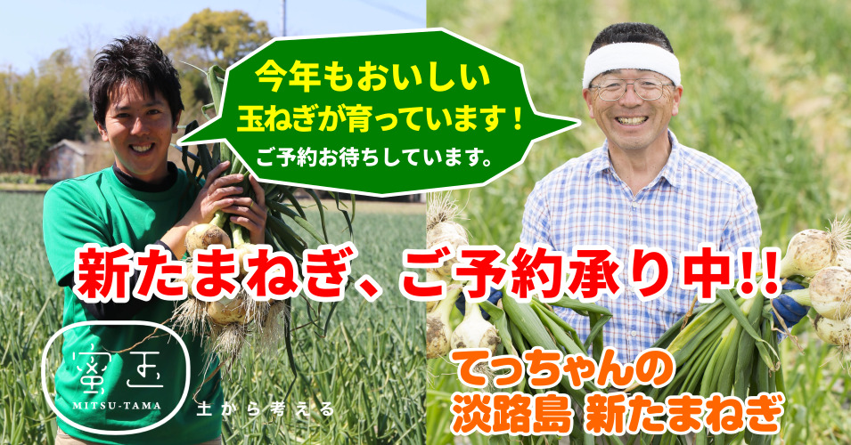予約新玉ねぎてっちゃんの淡路島新玉ねぎと蜜玉