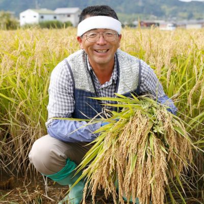 【新米】2023年収穫 南あわじ市松帆産 てっちゃんのれんげ米コシヒカリ ５㎏ （白米）