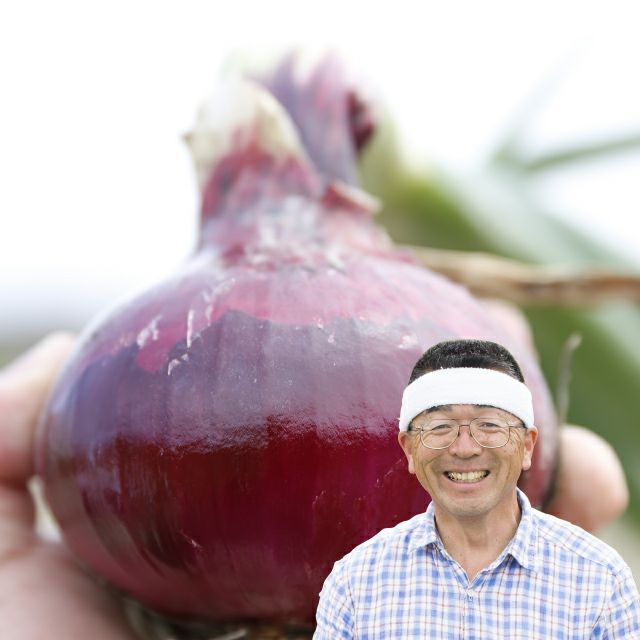 てっちゃんの淡路島赤たまねぎ(5kg)※包装及びのし掛け不可※発送