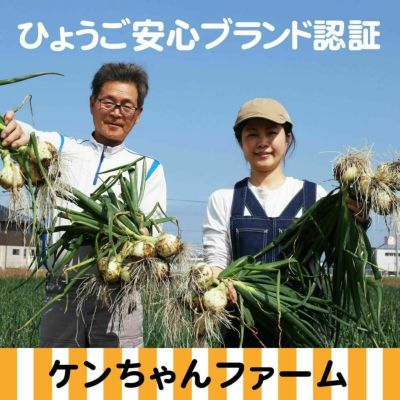 ケンちゃんファーム玉ねぎ10kg (通常購入の場合はお届けまでに