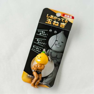 期間限定出品 ロングトラックフーズ キーホルダー ハメパチ 長方形型 KK66 キーホルダー 555 L 付き （CAK-K66A
